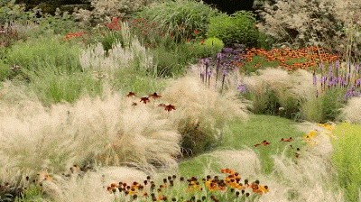 麦芙迪香水怎么样（一文讲解源自中国本土的香氛公司）