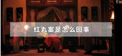 ​红丸案是怎么回事