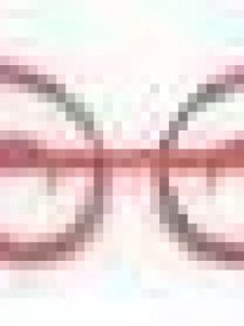 鱼属于什么动物(鲍鱼属于什么动物)