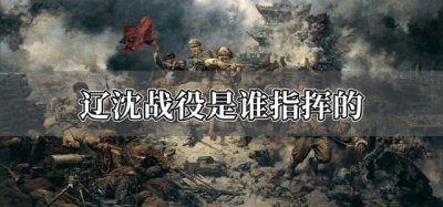 ​辽沈战役是谁指挥的