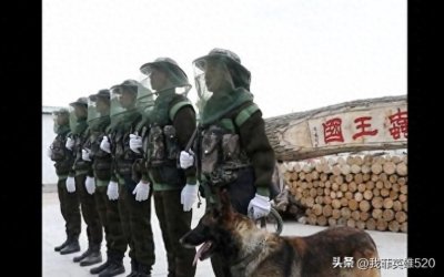 ​北湾边防连：蚊虫王国中的钢铁长城