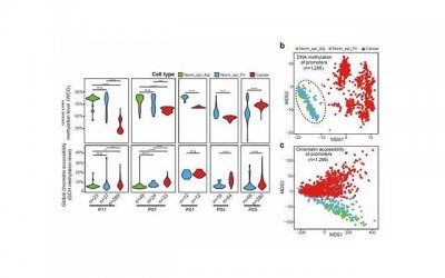 ​学羽毛球，从入门到精通