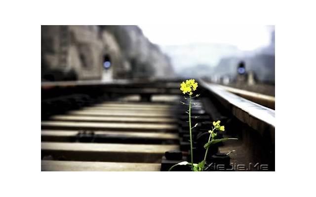 人在倒霉的时候，多去这四个地方转一转，容易转运