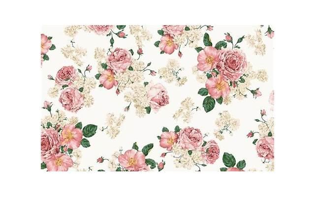 吴宣仪郑爽，吴宣仪粉向郑爽致歉后发千字长文卖惨