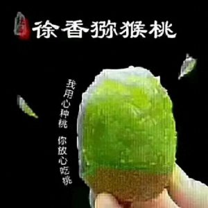 ​陕西猕猴桃之乡眉县