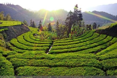 ​常德管辖的一个县，地广人稀，人口66.6万，GDP超295亿