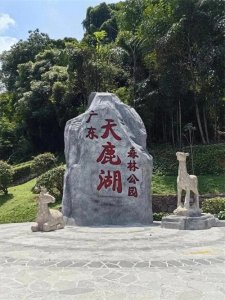 ​广州天鹿湖森林公园，一个隐藏在都市中的绿色秘境