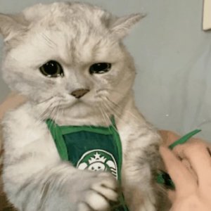 委屈巴巴哭唧唧表情包