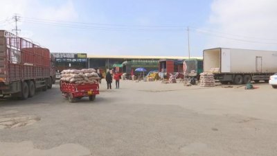 ​“陪陪”APP上赔…赔…赔了36万