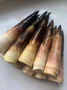 ​五花肉炒竹笋的做法，竹笋香辣入味脆甜可口，每次都是光盘