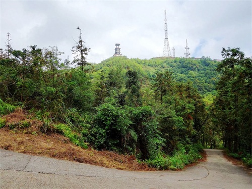 被誉为“中山十景之一”的五桂山，是珠江口最高峰，风景如画