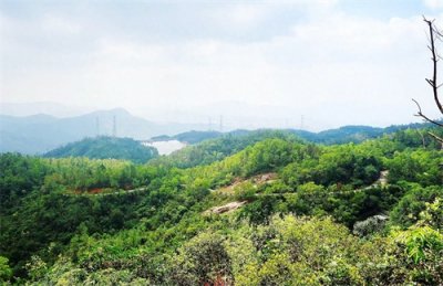 ​被誉为“中山十景之一”的五桂山，是珠江口最高峰，风景如画