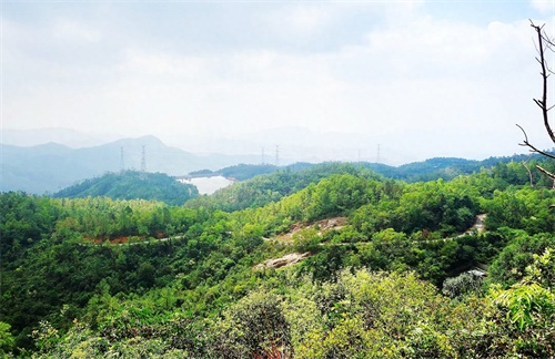 被誉为“中山十景之一”的五桂山，是珠江口最高峰，风景如画