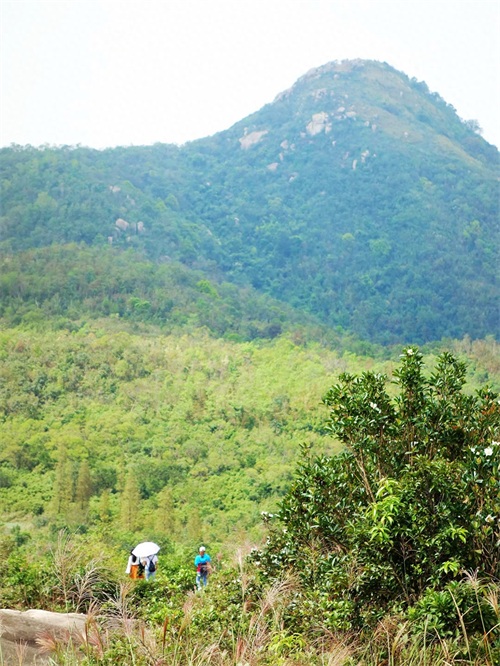 被誉为“中山十景之一”的五桂山，是珠江口最高峰，风景如画