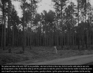 阿拉斯加外星人：1930 年代阿拉斯加荒野中的外星人照片