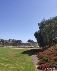 西点军校是怎样一种存在？