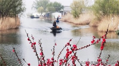 ​组图 | “北国江南”白洋淀