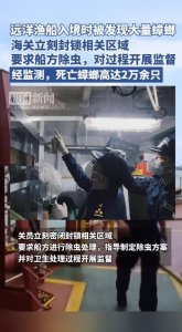​远洋渔船入境时发现有大量蟑螂，海关立刻封锁相关区域，要求船方除虫