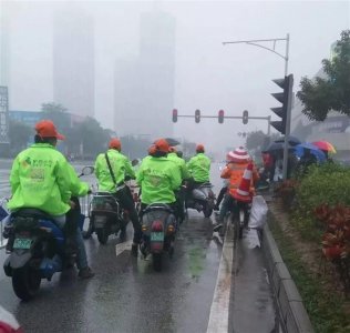 滴滴打驴已被叫停，相关部门将介入调查