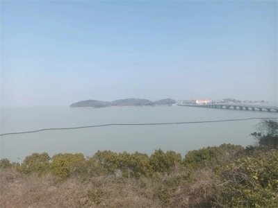 虚构事实，虚假陈述（如证据成立）上海败家仔应该退市退网！