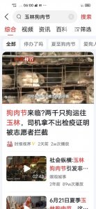​广西玉林狗肉节是中国的耻辱！取缔势在必行