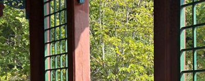 ​阿拉伯人的起源