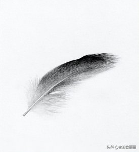 ​画一片羽毛，原来这么简单！