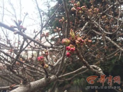 ​新规来了！5月1日起在动车上吸烟禁乘火车180天