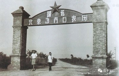 ​陪伴北京人半生的“南口小国光” 一种味道·一种念想·一种情怀