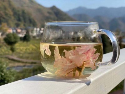 ​惊艳！杭州这个小镇藏着一大片玫瑰，其中70亩花田一年四季可赏