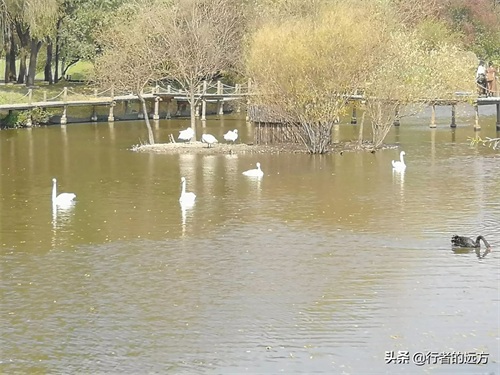 避暑圣地，冰雪乐园——走进哈尔滨太阳岛风景区