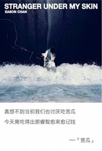 ​“初听不知曲中意，再听已是曲中人”那些年那些华语金曲