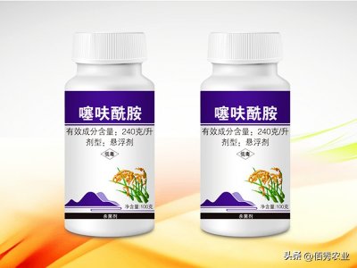 ​低调杀菌剂，功效却不可小觑，对土传病害优秀的噻呋酰胺你会用吗