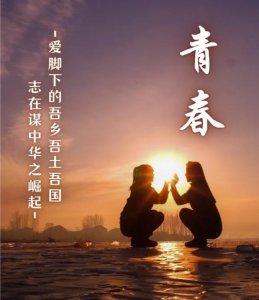 ​“愤青”小议