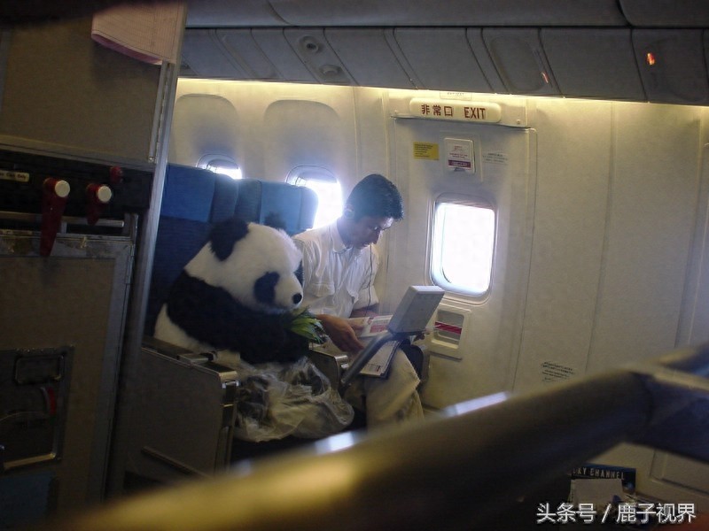 32张有趣的动物照片，记得不要吝啬你的微笑哦！