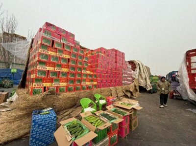 ​新发地市场节后蔬果供应稳定价格回落