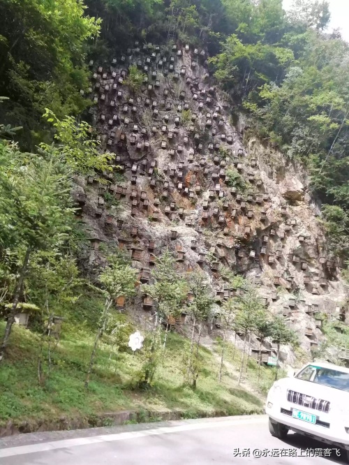 神农架景区地图攻略