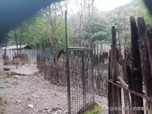 神农架景区地图攻略