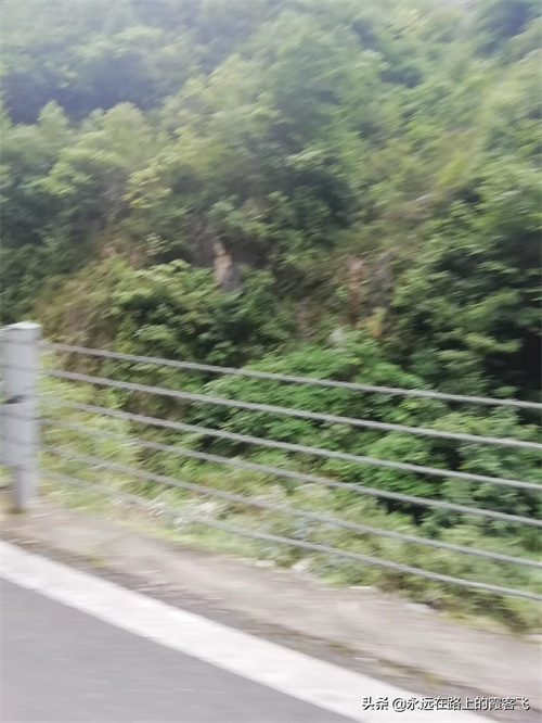 神农架景区地图攻略