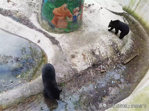 神农架景区地图攻略