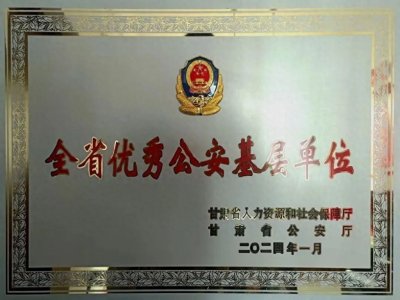 ​全省优秀公安基层单位——天水市公安局麦积分局巡逻防暴警察大队