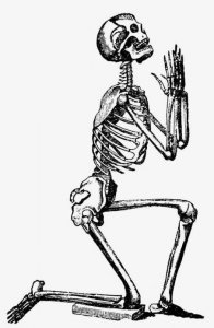 ​骨科基础知识——你知道多少之＂破骨细胞＂