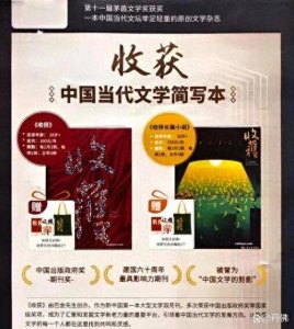 ​文字已死？——论当代纯文学刊物的困境与重生