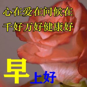 ​最新早上好问候表情包